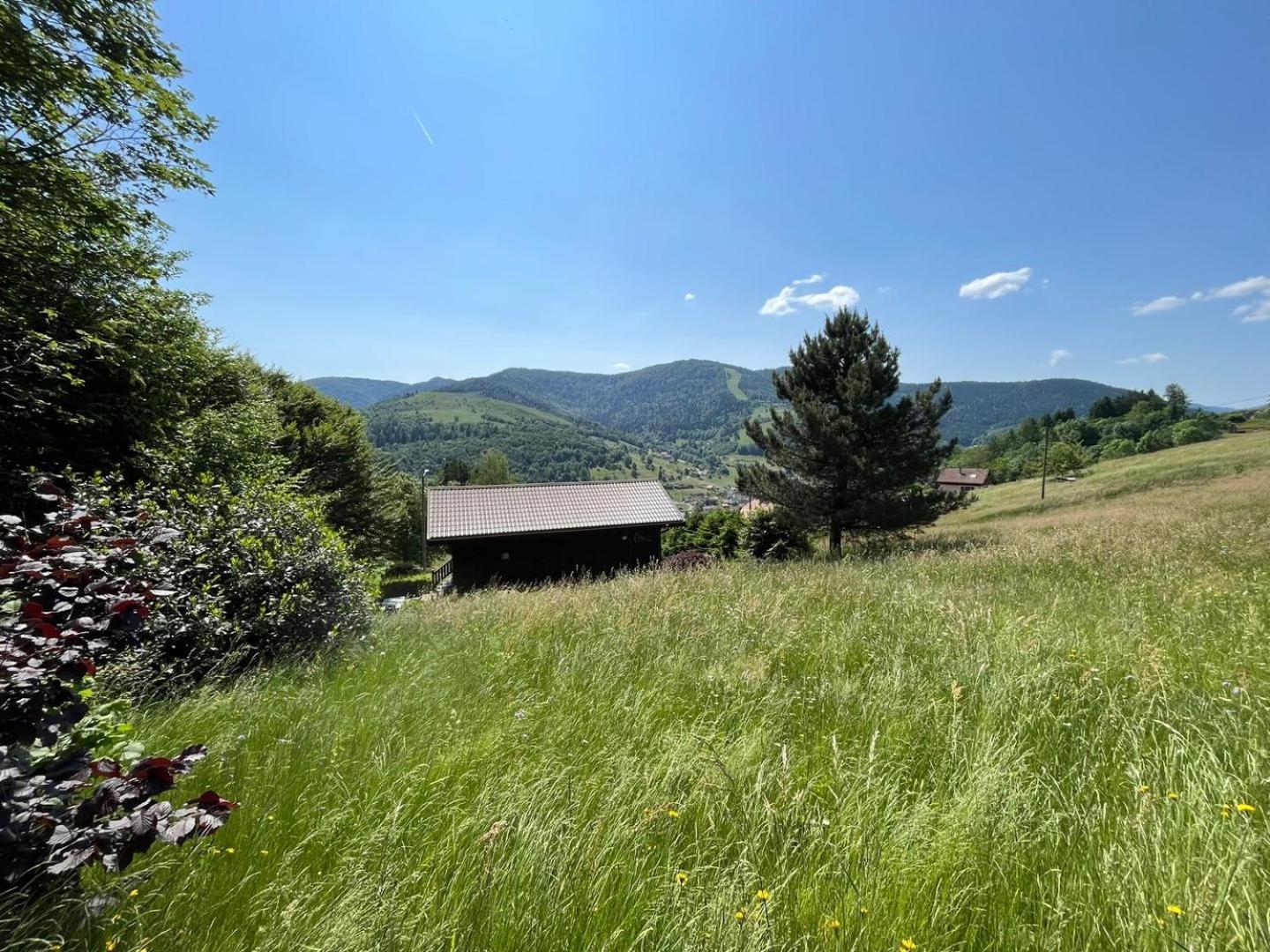 Chalet Bois Vue Panoramique : 2 Logements Et Sauna Bussang Exterior photo
